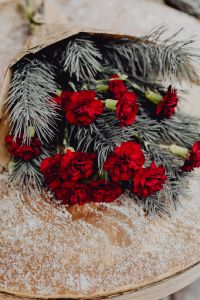 Winter bouquet with red carnations and pine