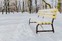 Kaboompics - Yellow bench a wintery park
