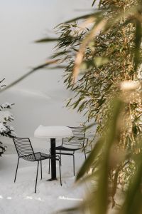 Snowy Oasis - Calm and Cozy Winter Scenes - Snow-Covered Patio and Bamboo