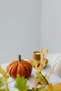 White pumpkins - candle - oak leaves