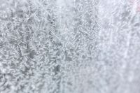 Kaboompics - Frosty background