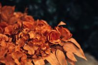 Kaboompics - Painted Fake Flowers