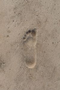 Kaboompics - Footprint in the sand