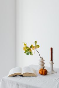 Kaboompics - Opened book - pumpkin - vase - candle - oak leaves