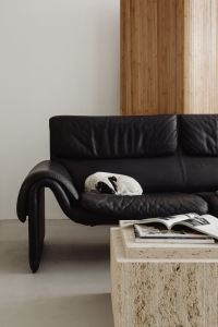 Kaboompics - De Sede DS-2011 Black Leather Two Leather Sofa - Travertine Furniture - Table - Vogue Magazine - Dog