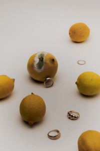 Kaboompics - Elegant Rings with Lemons Still Life