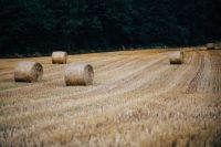 Kaboompics - Haystacks on a field