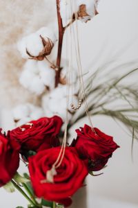 Kaboompics - Red roses, gold jewellery and beauty accessories on white marble