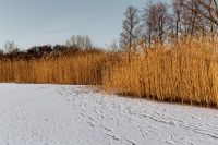 In middle of frozen lake