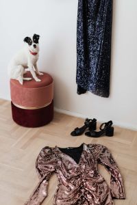 Kaboompics - colored sequin dresses and boots lie on a wooden parquet, blue dress hang on the white wall, White Dog