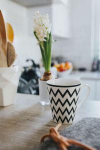 Black&white cup with a green plant