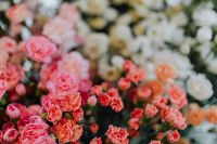 Kaboompics - Various multicolored fresh flowers (carnations)