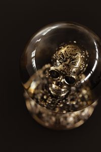 A skull snow globe