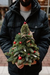The man is holding a small Christmas tree with red decorations