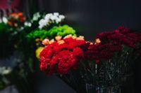 Kaboompics - Collection of colourful flower bouquets