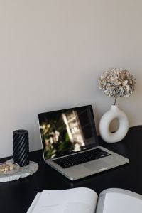 Kaboompics - Laptop - computer - desk - black candle - dried flower
