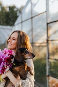 A woman with beautiful colorful dahlia flowers, holding in her hands a dachshund dog
