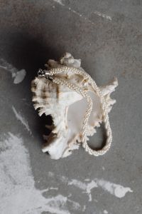 A large shell with a pearl necklace on it