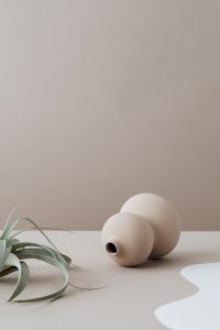 vase on beige background
