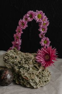 Creative Floral Artistry: A Collection of Unique Flower Arrangements and Decorative Designs