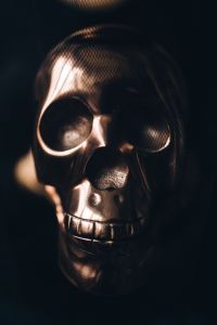 Kaboompics - Metallic skull