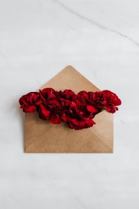 Kaboompics - Red carnations in an envelope