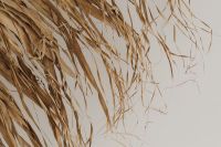 Kaboompics - A detailed shot of textured dried leaves intricately woven to form a decorative organic wall hanging