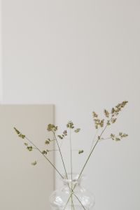 Grass - glass vase