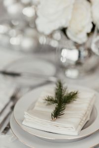 Porcelain tableware with napkin and spruce branch