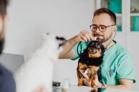 Young male doctor with dog - vet