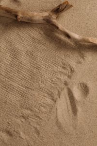 Kaboompics - Sandy Serenity - Nature's Textured Patterns