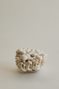 Still Life Mushroom Composition - Abstract - Neutral Aesthetic
