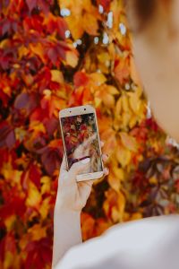 The woman takes a picture of the autumn leaves with her phone