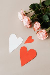 Kaboompics - Pink roses & hearts