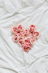 Kaboompics - Pink roses on bedding