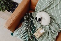Kaboompics - Christmas - a small dog with a gift on the sofa