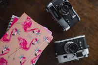 Old analog cameras and pink books on a wooden table