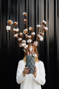 Kaboompics - Woman holding a cotton flower