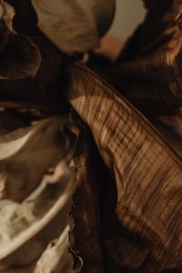 Kaboompics - Close Up Detail Of A Dried Leaf - Banana Plant
