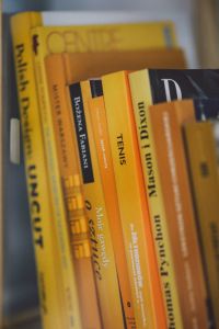 Kaboompics - Books on a bookcase shelf