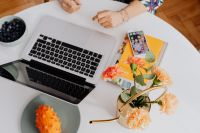 Kaboompics - MacBook laptop & orange Dianthus (carnation or clove pink) flowers on desk, kiwano fruit