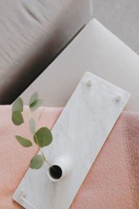 White marble tray with vase with eucalyptus branch