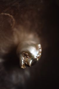 Kaboompics - Close-up on shell detail - nacre