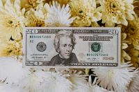 Kaboompics - 20 USD banknotes - American Dollars