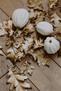 Kaboompics - White pumpkins with golden oak leaves