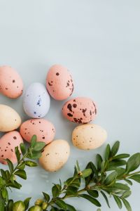 Kaboompics - Easter Eggs & Buxus - Boxtree - Boxwood