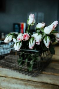 Kaboompics - Pink flowers in a metal basket