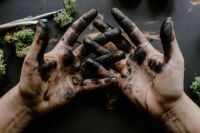 Kaboompics - Messy painted hands of a painting artist
