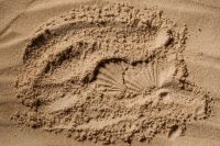 Kaboompics - Sandy Serenity - Nature's Textured Patterns