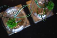 Kaboompics - Little grass bundle with a ribbon in a glass jar